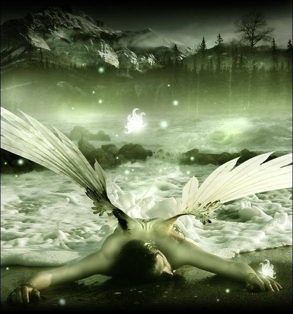 Beautiful-Fallen-Angel-fallen-angels-12571335-603-645